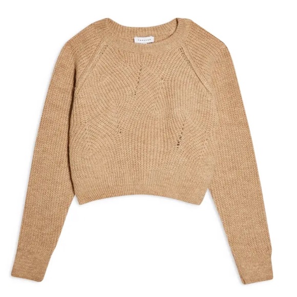 Topshop Camel Swirl Crop Sweater 